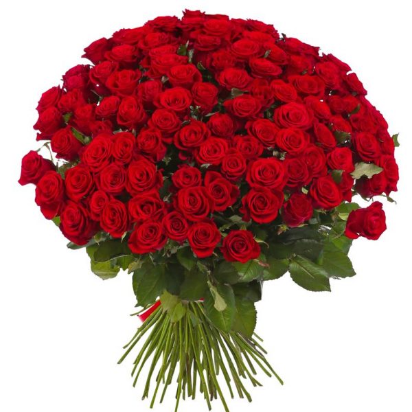 Ramo con 100 Rosas Rojas