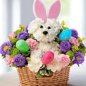 Osita Floral