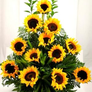 Bellaflor