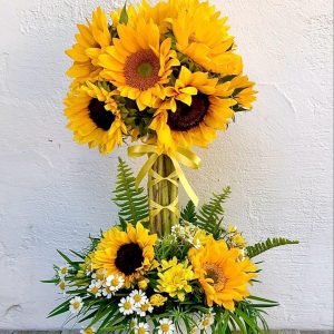 Girasolín