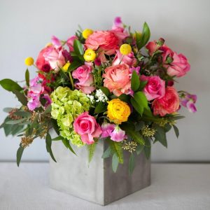 Jardinia